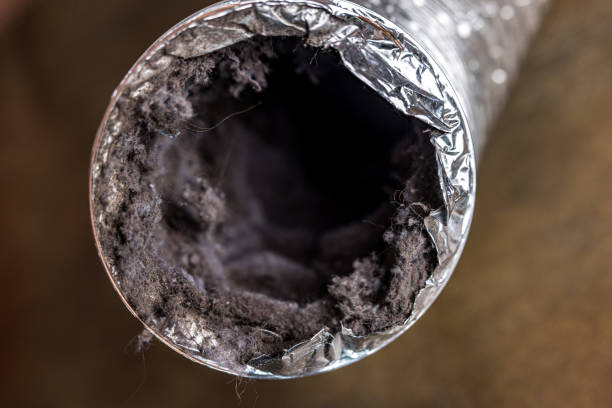 Best Air Vent Cleaning Services  in Gold Key Lake, PA